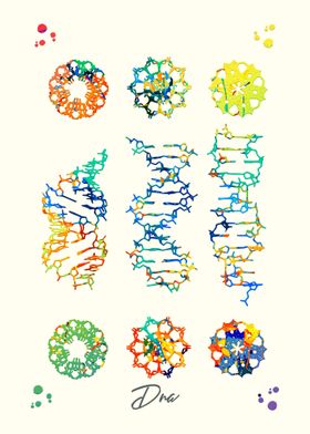 DNA  Science