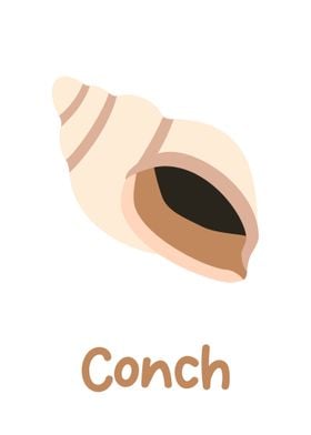 Conch