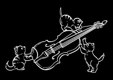 Cats Playing Violin Music 