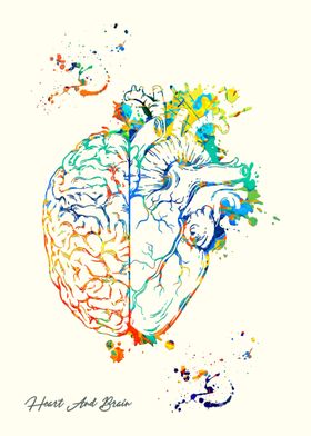 Heart And Brain