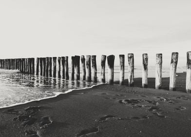 Black And White Beach