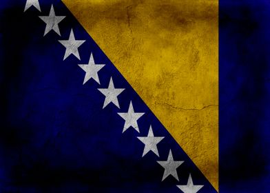 Bosnia and Herze Govina 1