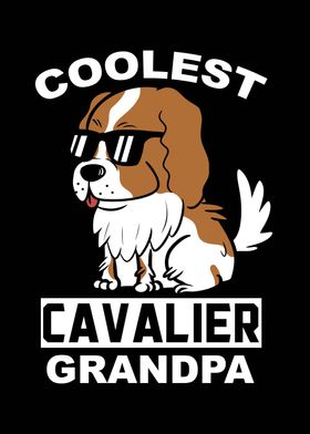 Cavalier Dog Grandpa