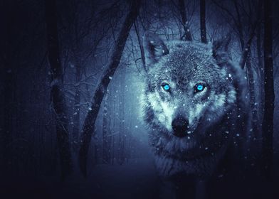 nocturnal wolf