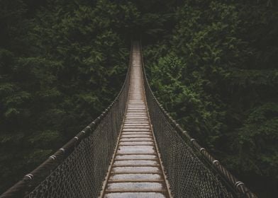 Forest Bridge