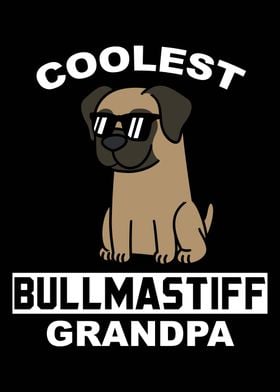 Bullmastiff Grandpa 