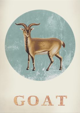 Vintage old goat card