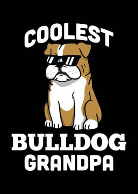 English Bulldog Grandpa 