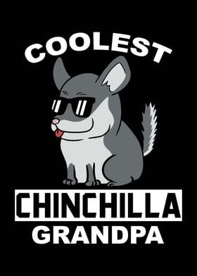 Chinchilla Grandpa 