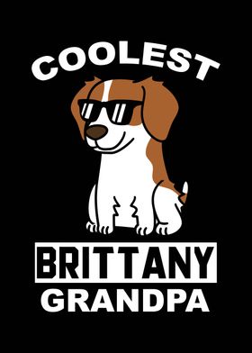 Brittany Spaniel Grandpa 