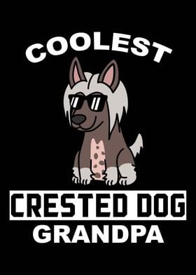 Chinese Crested Grandpa 