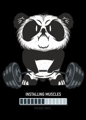 Install muscles Panda Gym