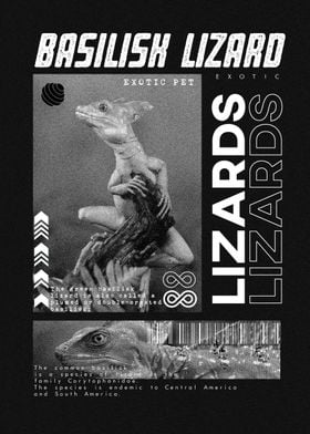 Basilisk Lizard Modern