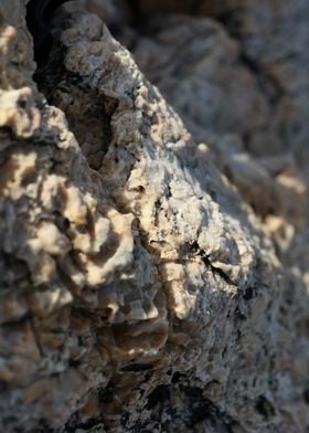 Sea rock abstract close up