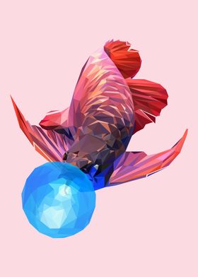 beta fish bubble gum anima