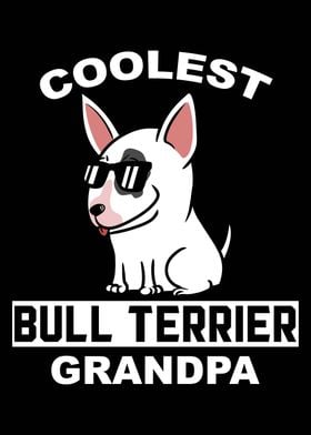 Bull Terrier Grandpa