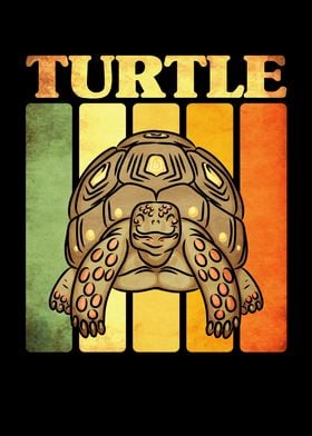 Tortoise