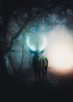 Deer with glowing antler