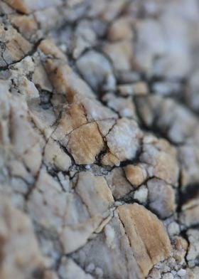 Sea rock abstract close up