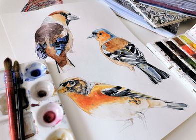 paint birds art color