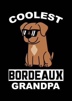 Dogue De Bordeaux Grandpa 