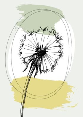 Dandelion 