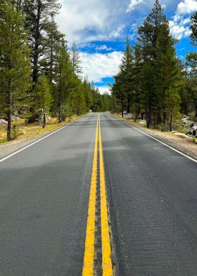 Country road in Yosemite