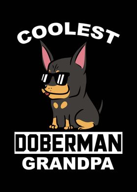 Doberman Grandpa 