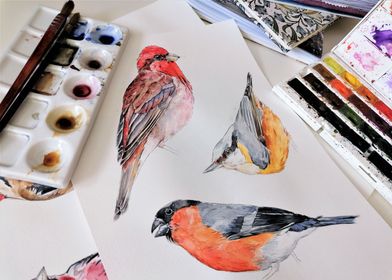 painting birds