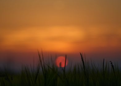 Hazy Sunset