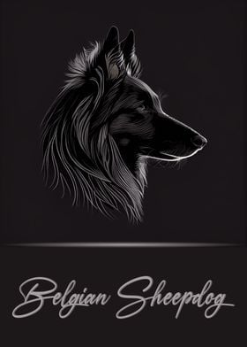 Belgian Sheepdog