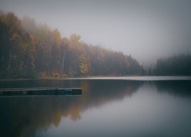 Misty Lake And Forest