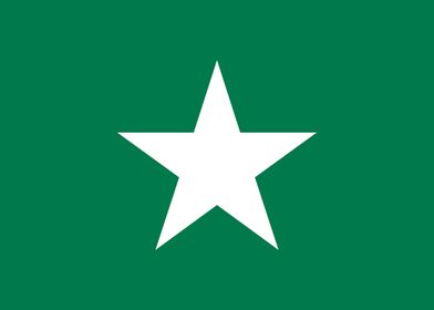 Stellaland flag