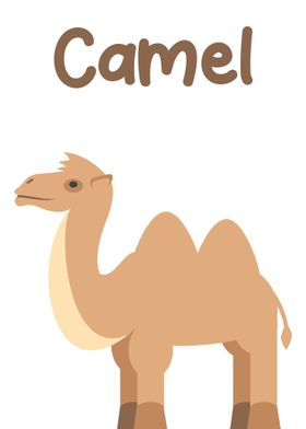 Camel