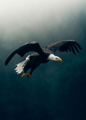 Eagle