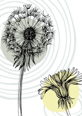 Dandelion