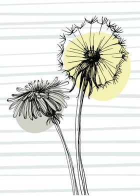 Dandelion