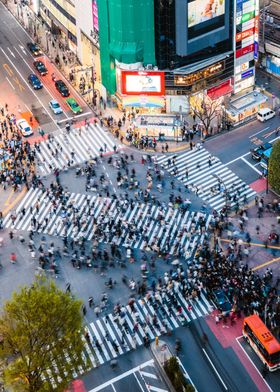 Crowded Shibuya crossing