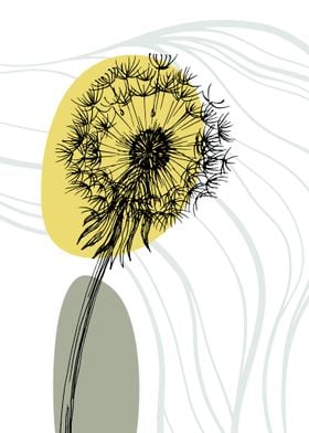 Taraxacum