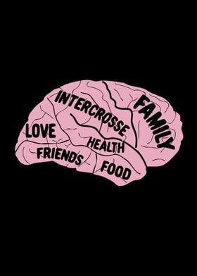 Intercrosse Brain