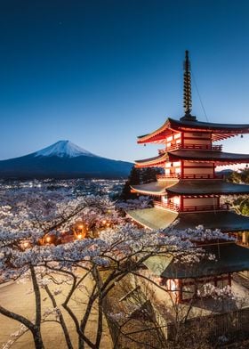 Fuji and temple at night