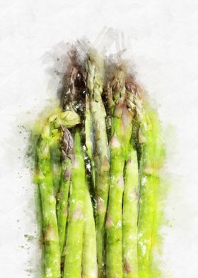 asparagus watercolor