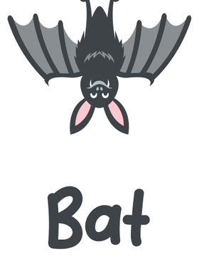 Bat