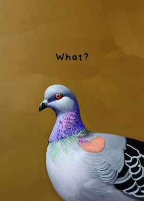 Meme Pigeon