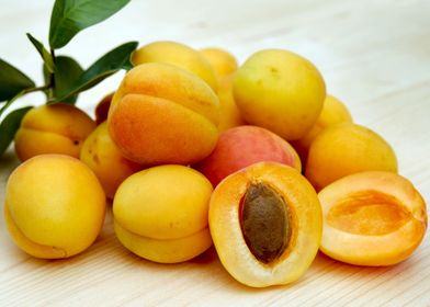 apricots fruit