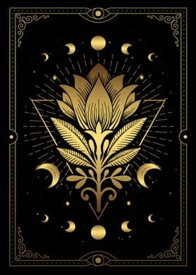 Tarot flower moon