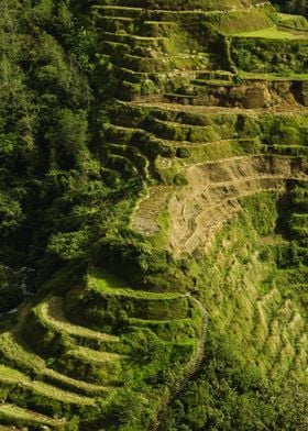 Banaue