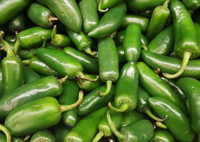 jalapenos