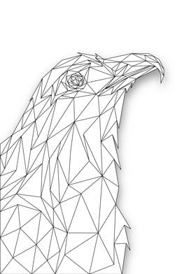 Eagle Wireframe Lowpoly