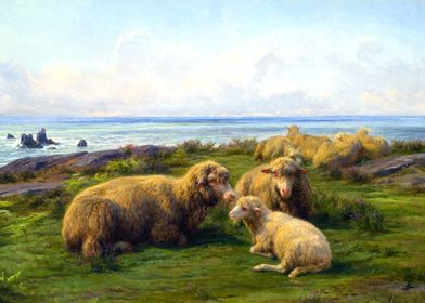 Sheep by the Sea